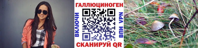 Галлюциногенные грибы Cubensis  хочу наркоту  Белозерск 